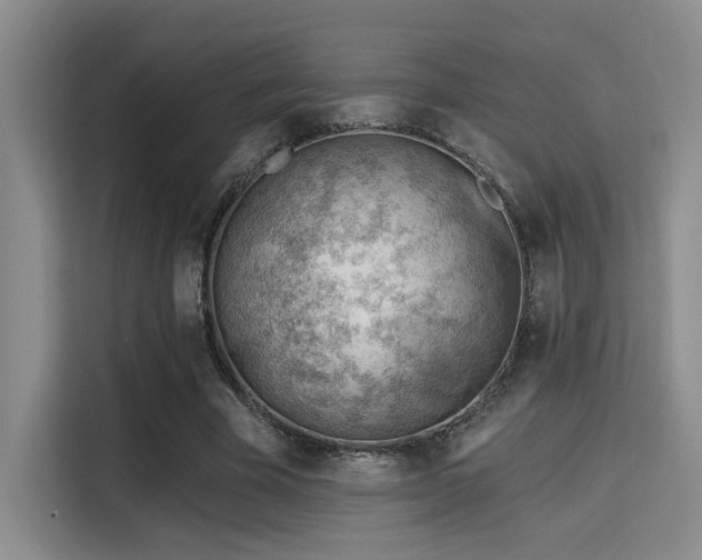 X0000115730585200911191414