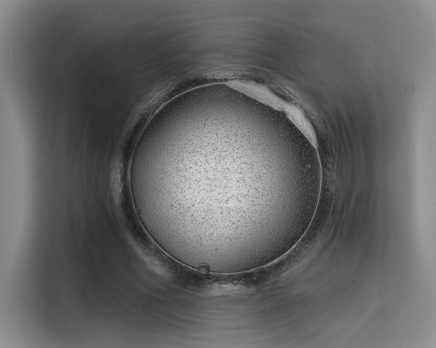 X0000115730586200911191414