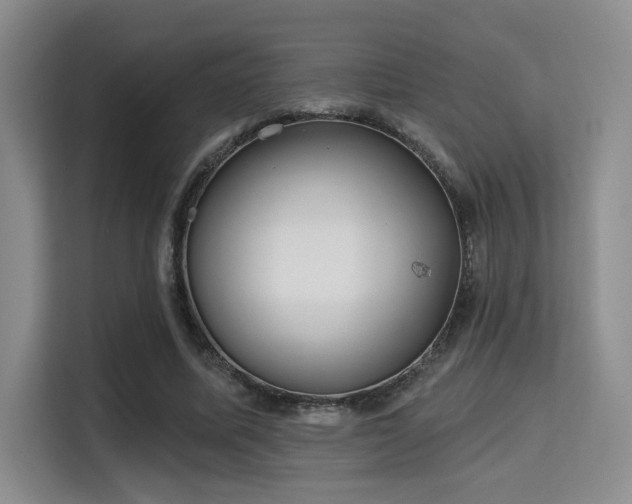 X0000115730587200911191414