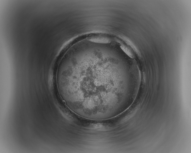 X0000115730588200911191414