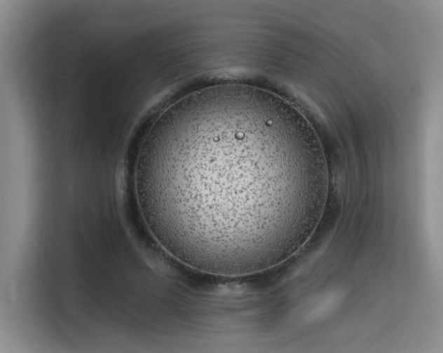 X0000115730591200911191414