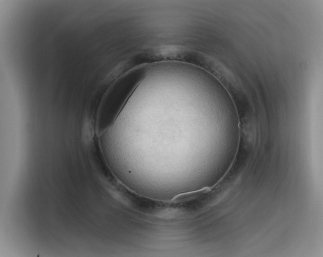 X0000115730593200911191414