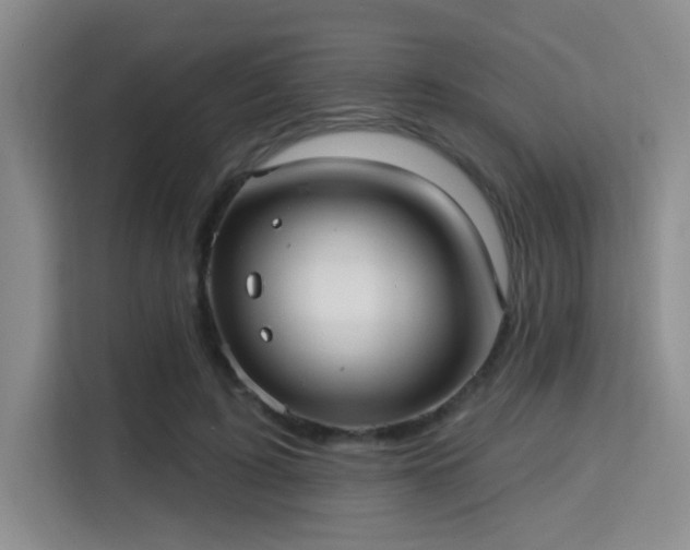 X0000115730595200911191414