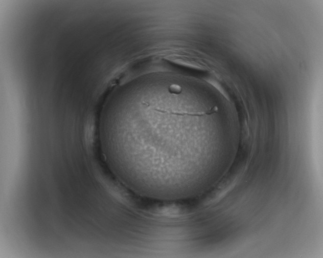 X0000115730600200911191413