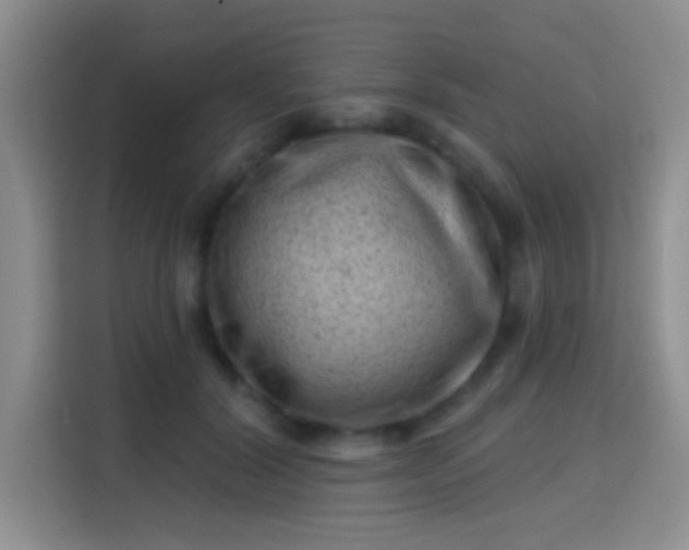 X0000115730604200911191413