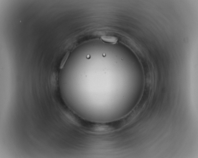 X0000115730605200911191413