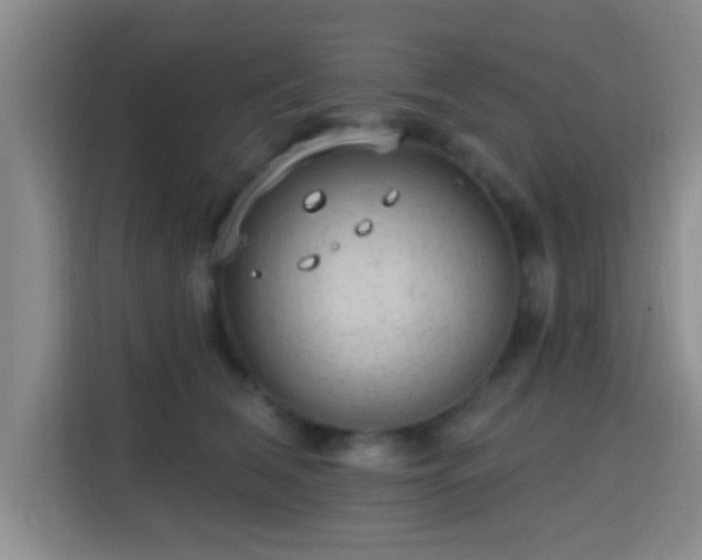 X0000115730612200911191413