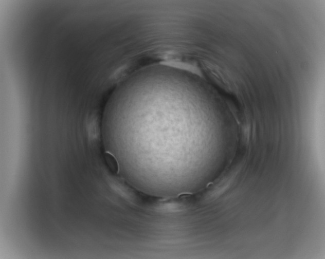 X0000115730620200911191413