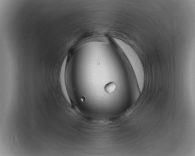 X0000115730621200911191413