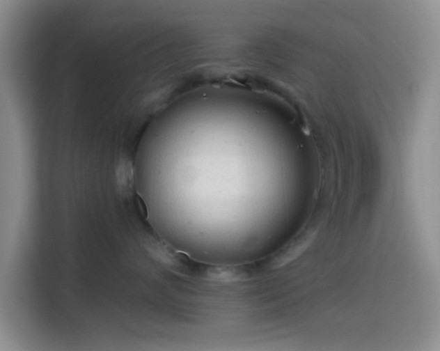 X0000115730624200911191413