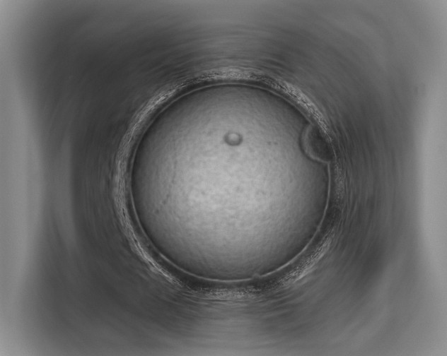 X0000115730625200911191413