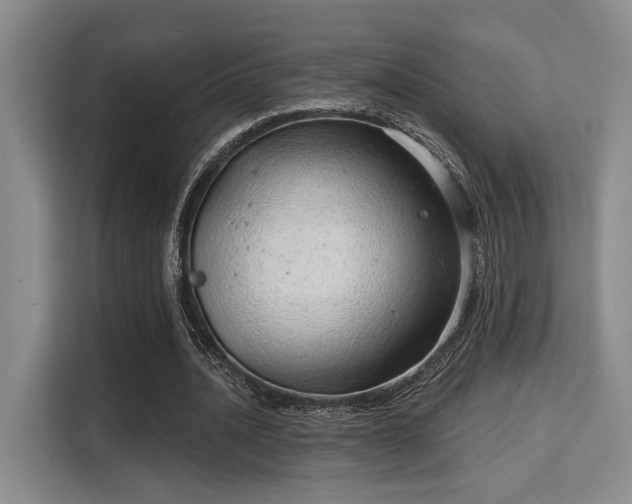 X0000115730628200911191413