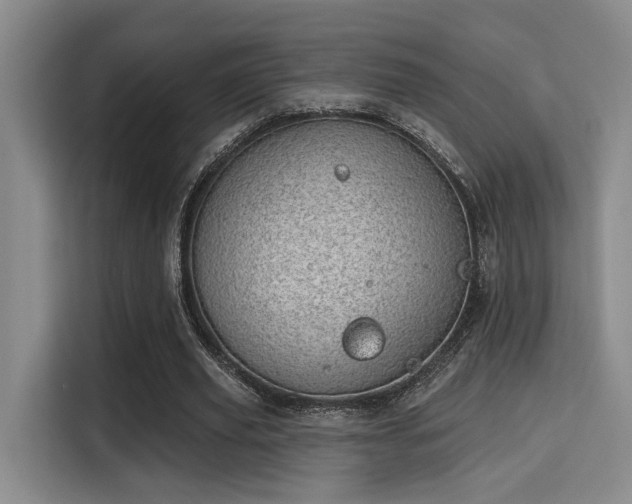 X0000115730629200911191413