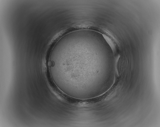 X0000115730634200911191413