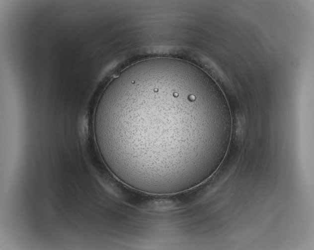 X0000115730636200911191413