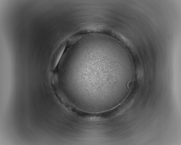 X0000115730637200911191413