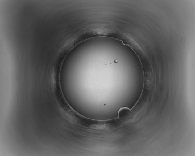 X0000115730639200911191413