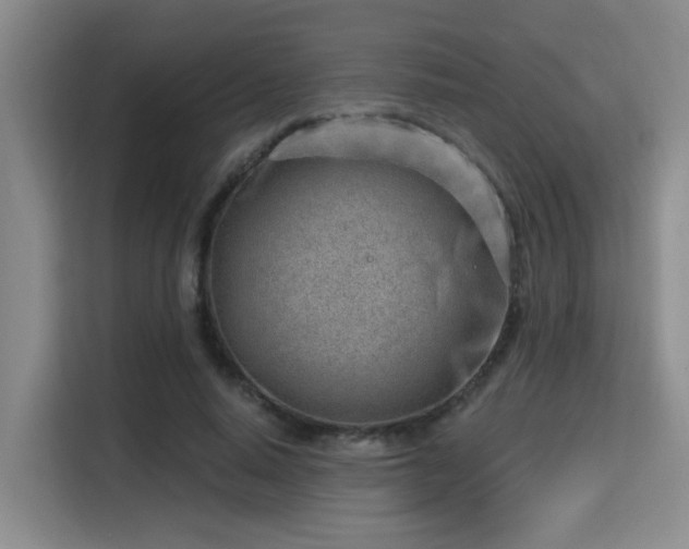 X0000115730640200911191413