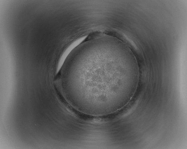 X0000115730641200911191413