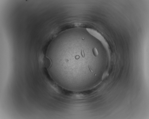 X0000115730650200911191413