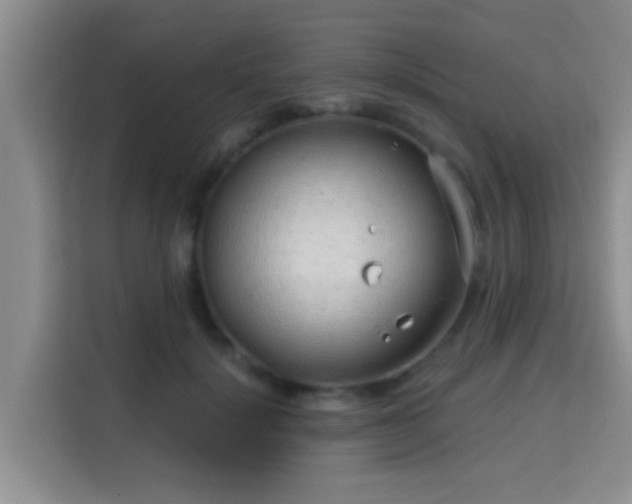 X0000115730652200911191413