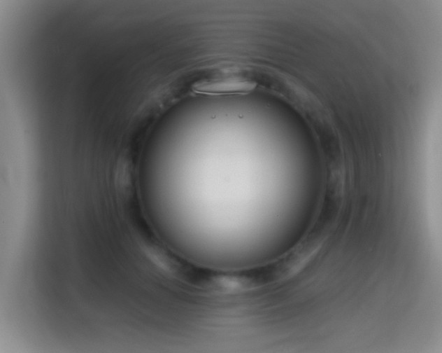 X0000115730654200911191413