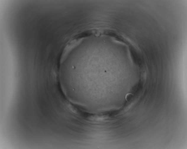 X0000115730661200911191413