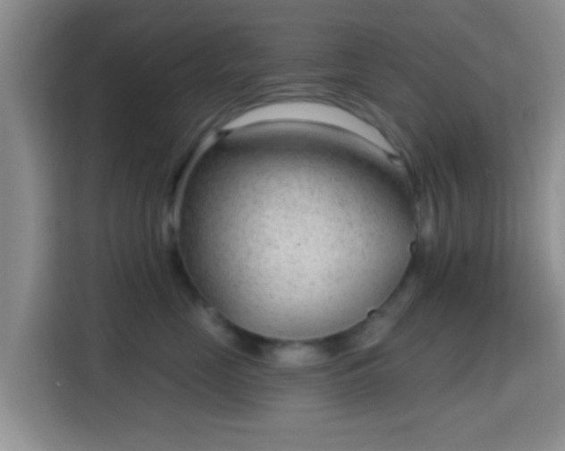 X0000115730669200911191413