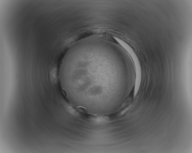 X0000115730670200911191413