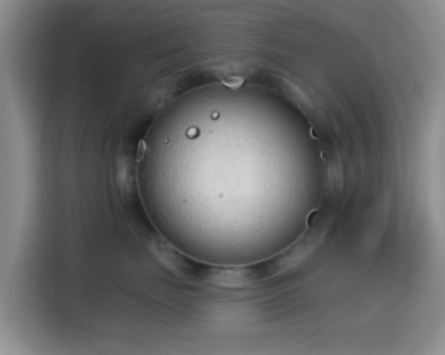 X0000115730671200911191413