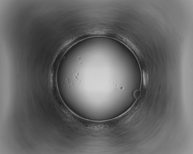 X0000115730675200911191413