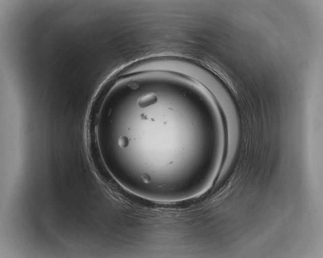 X0000115730676200911191413