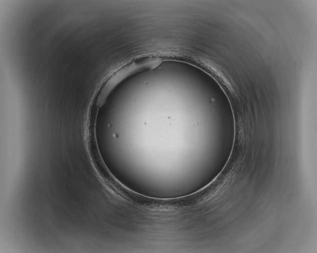 X0000115730677200911191412