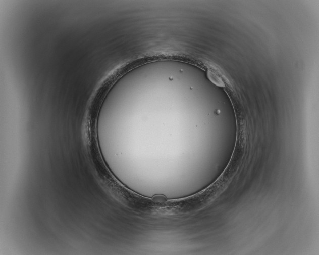 X0000115730680200911191412