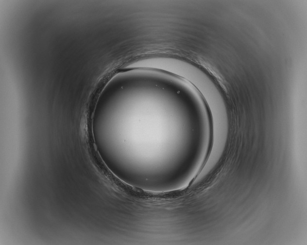 X0000115730681200911191412