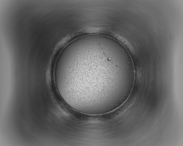 X0000115730682200911191412