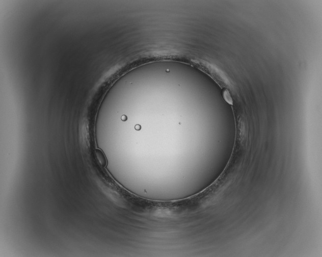 X0000115730684200911191412