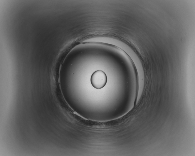 X0000115730688200911191412