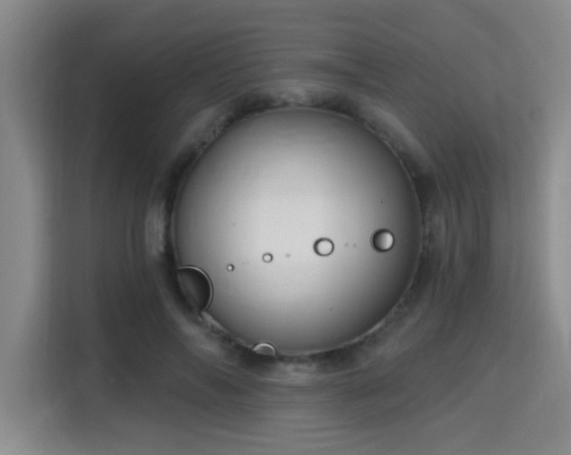 X0000115730694200911191412