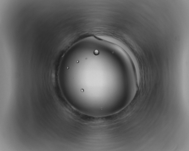 X0000115730696200911191412