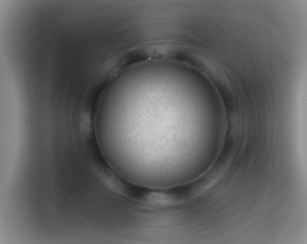 X0000115730699200911191412