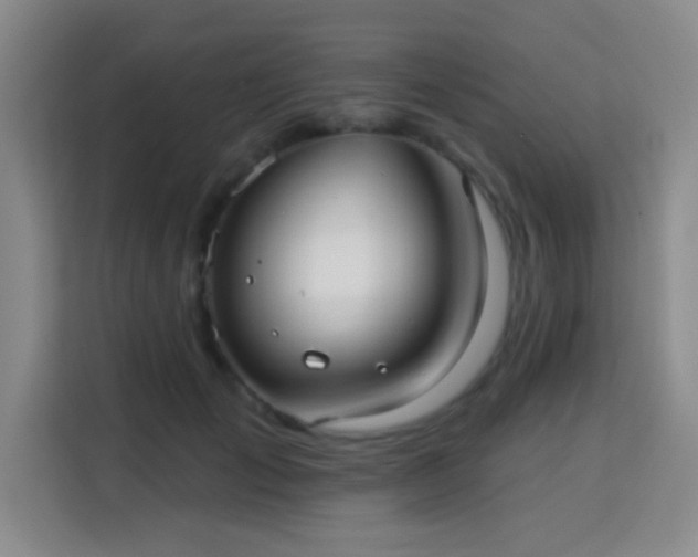 X0000115730701200911191412