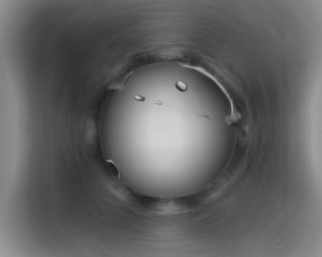 X0000115730704200911191412