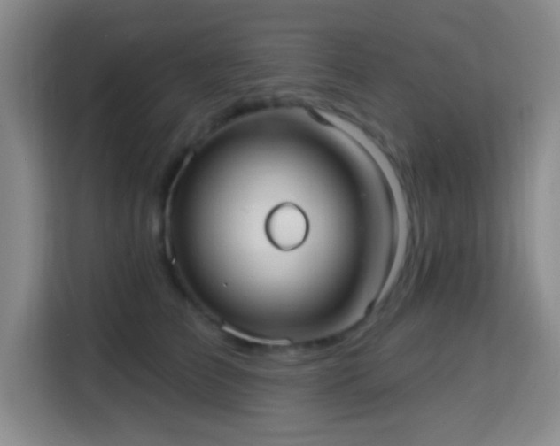 X0000115730709200911191412