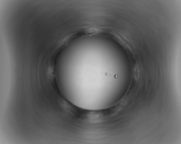 X0000115730714200911191412