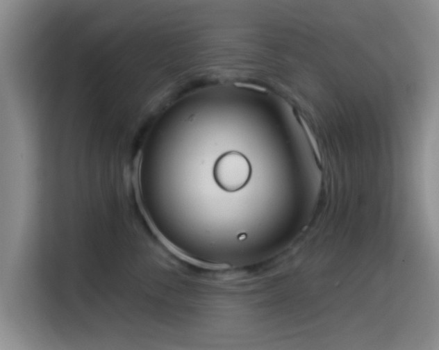 X0000115730716200911191412