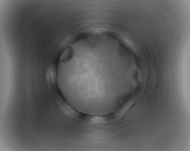 X0000115730718200911191412