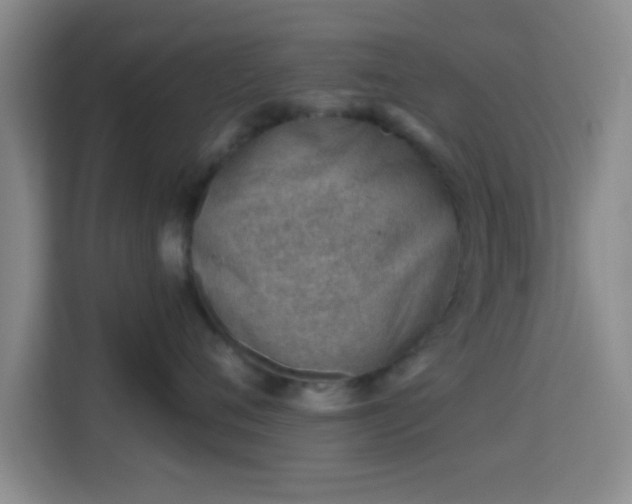 X0000115730720200911191412