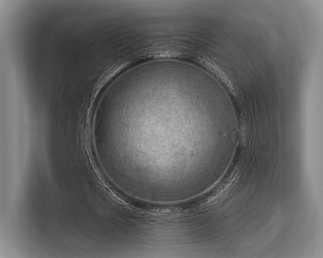 X0000115730721200911191411