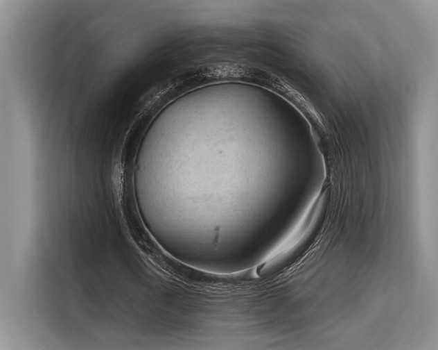 X0000115730722200911191411